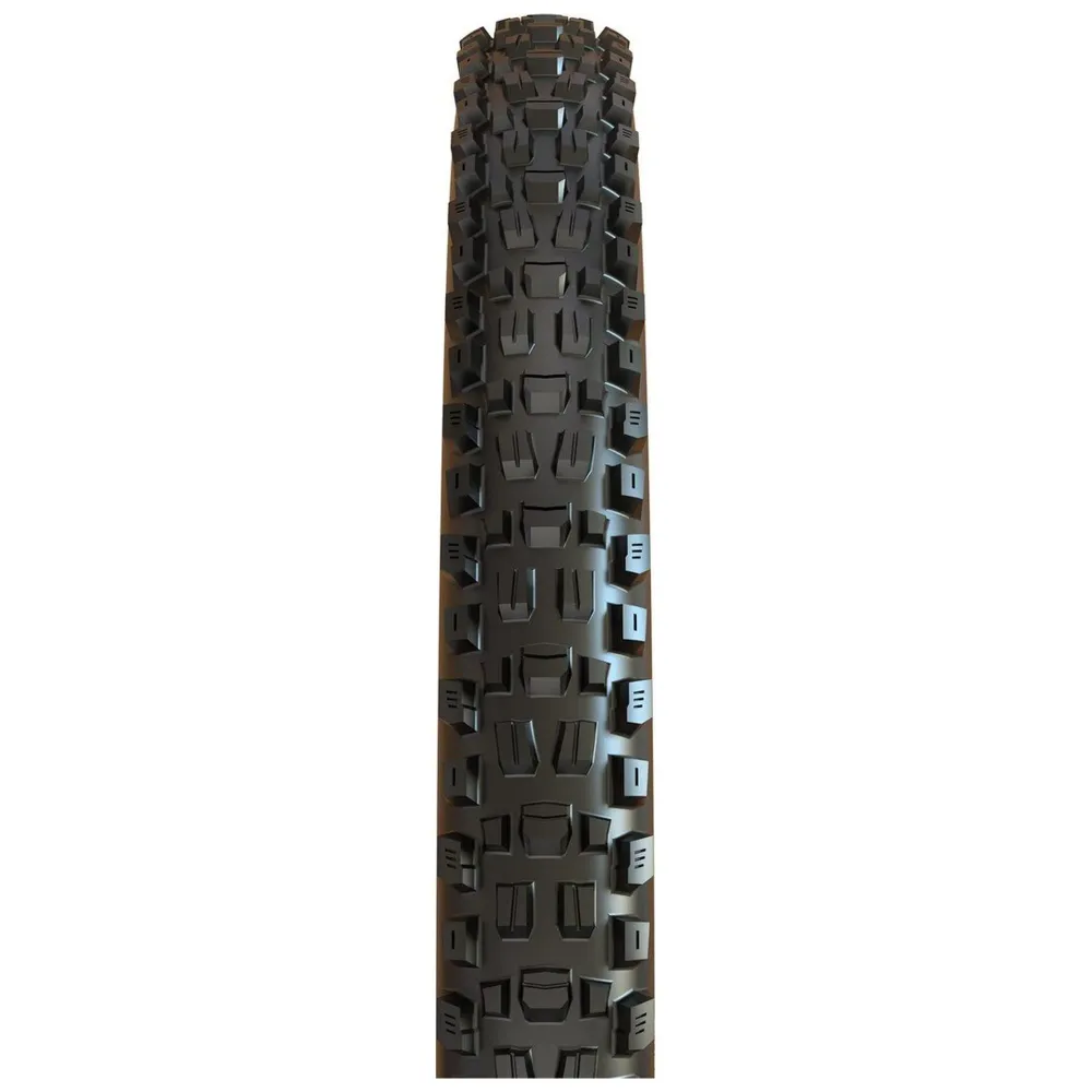 Assegai 3C MaxxGrip/DH/TR 29x2.50