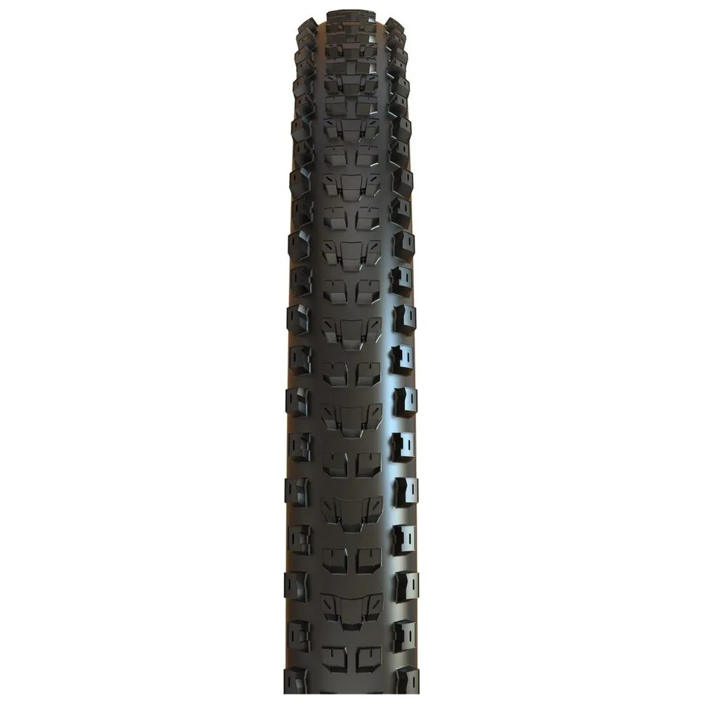 Dissector 3C MaxxTerra/EXO+/TR 29x2.60
