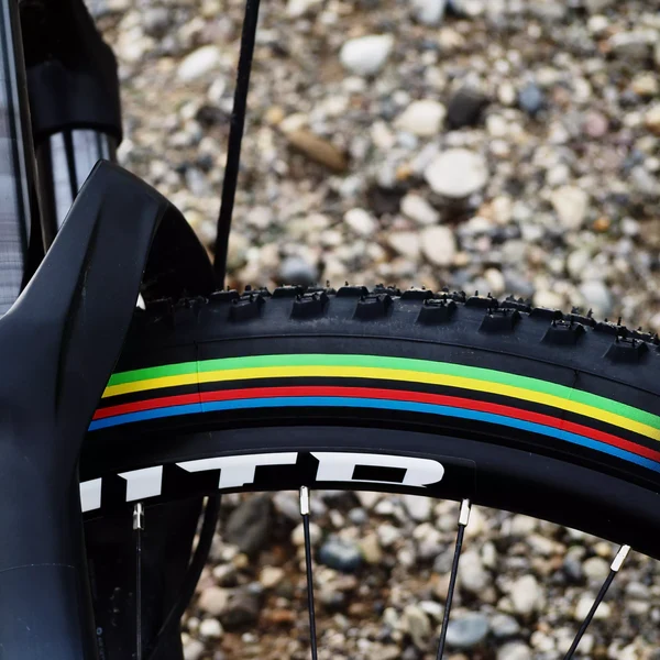 VITTORIA BARZO XC 29x2.35 "UCI Rainbow Edition" Tubeless Ready Soft-däck