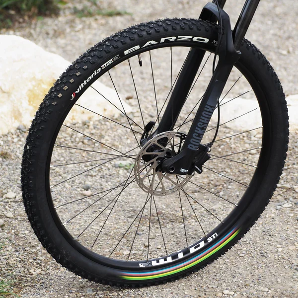 VITTORIA BARZO XC 29x2.35 "UCI Rainbow Edition" Tubeless Ready Soft-däck