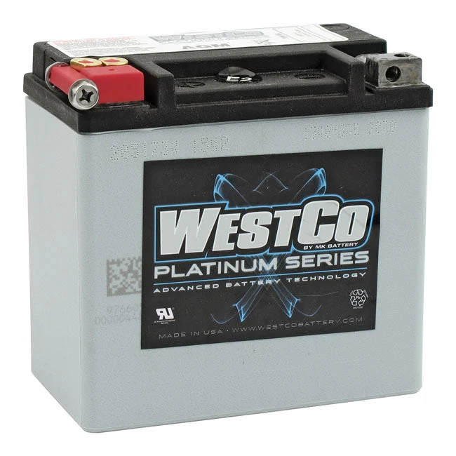 Westco AGM Batteri 12 Volt 12Ah 220CCA