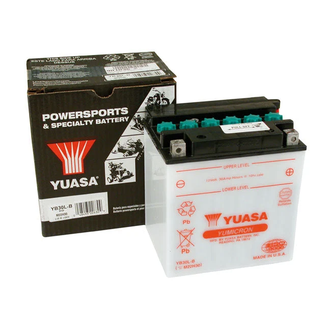 Yuasa Yumicron 12V Blybatteri 30Ah 300CCA
