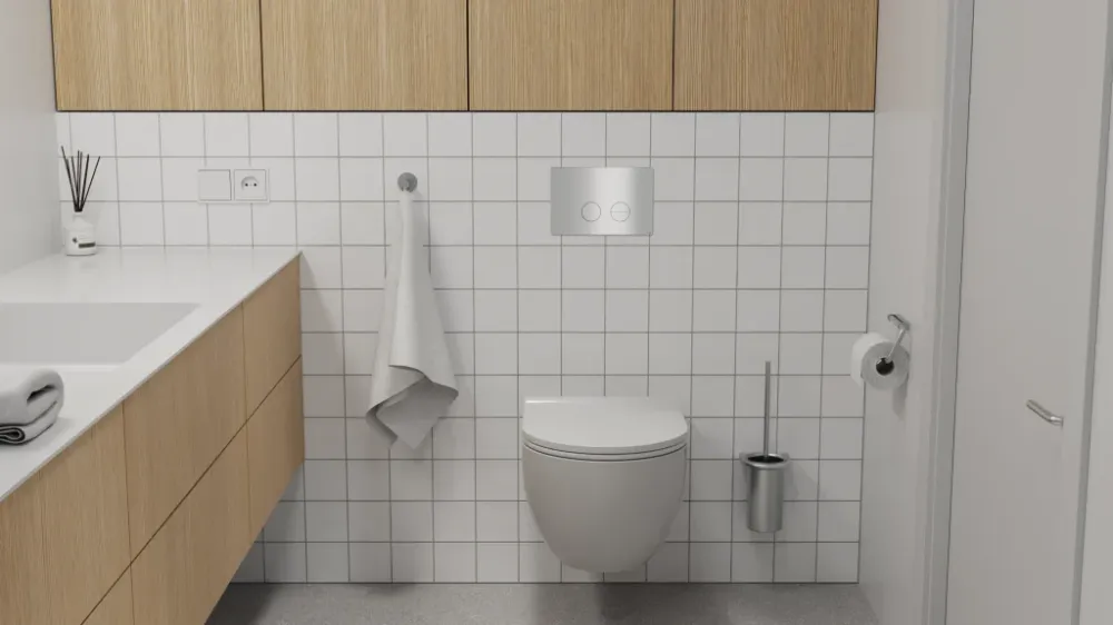 Betjäningspanel för toalett, borstat rostfritt stål • d line Small