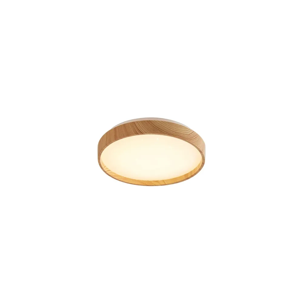 Rabalux 6579 Taklampa Leana Ind. Ceil. LED 12W Bok D 26,5cm
