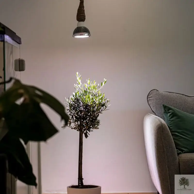 Växtlampa Inomhus 15W, 30 grader