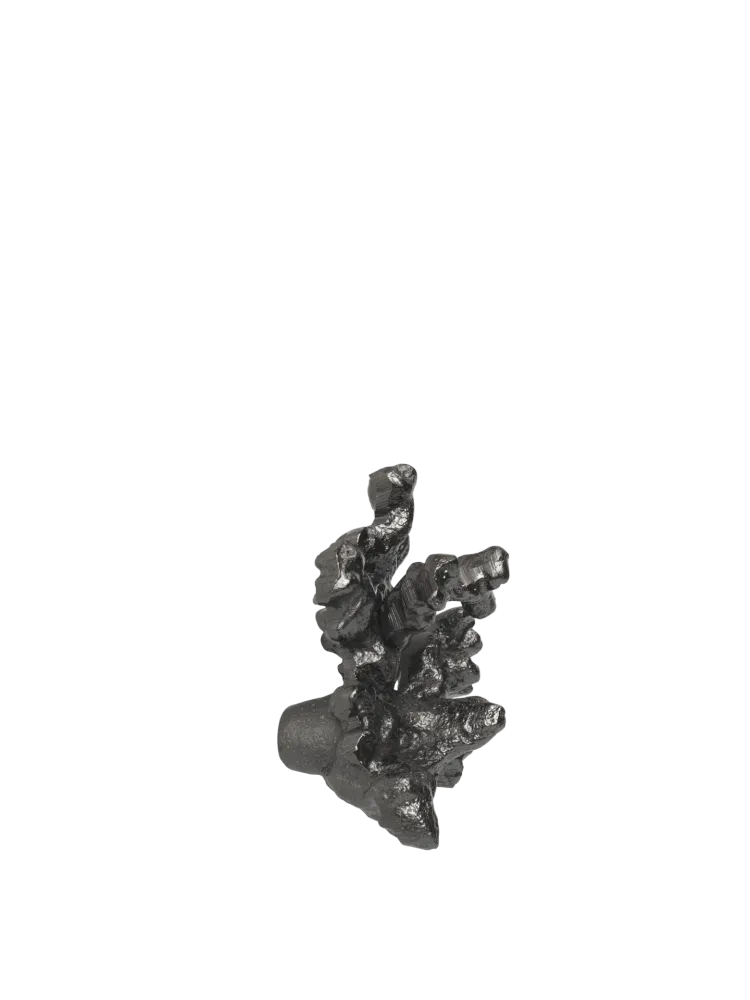 Comber Laxrosa Branch Hook - Blackened Aluminium