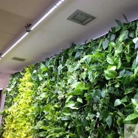 SPOT-WALL 60-120 cm LED-armatur för växtväggar 120°