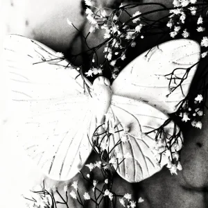 114 " Butterfly" 30x40cm