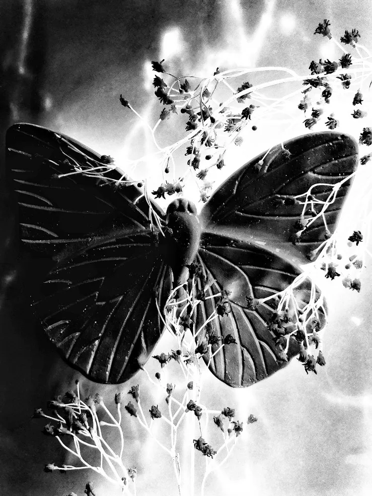 114 " Butterfly" 30x40cm
