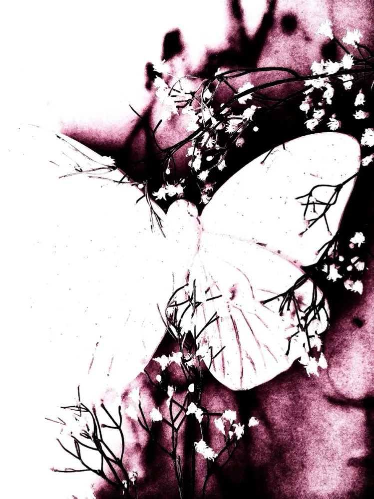 114 " Butterfly" 30x40cm