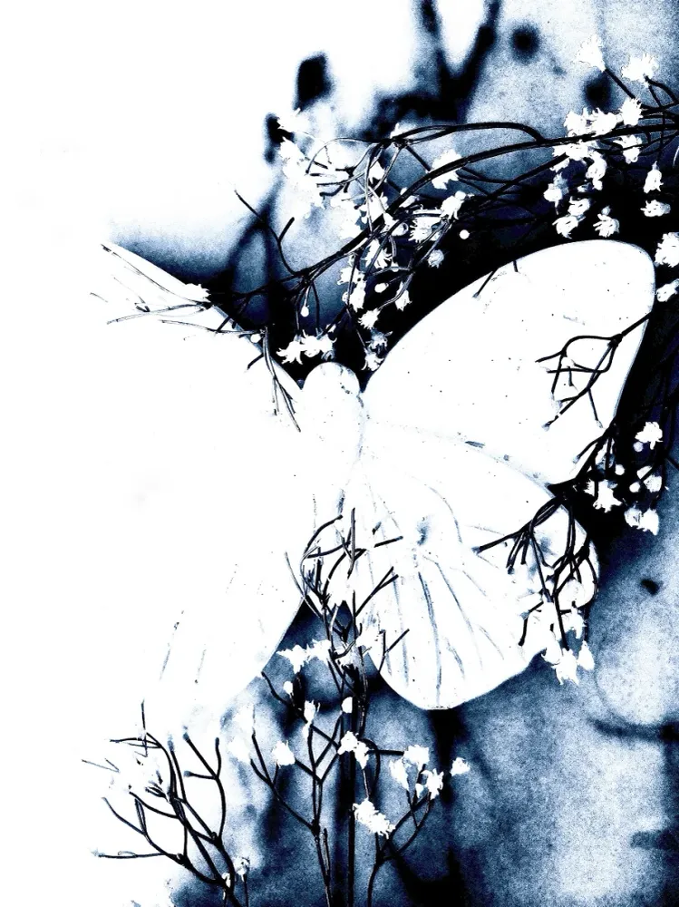 114 " Butterfly" 30x40cm