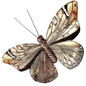 603 "Big Butterfly" 30x40cm