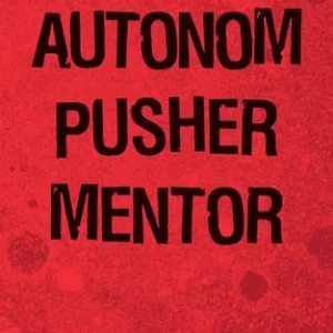 AUTONOM PUSHER MENTOR 40-Piece Bit Set