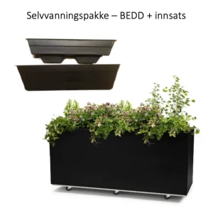 BEDD 120x40 h50 + Hjul och självvattnande Svart