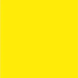 Citrongul Matte 17Ml