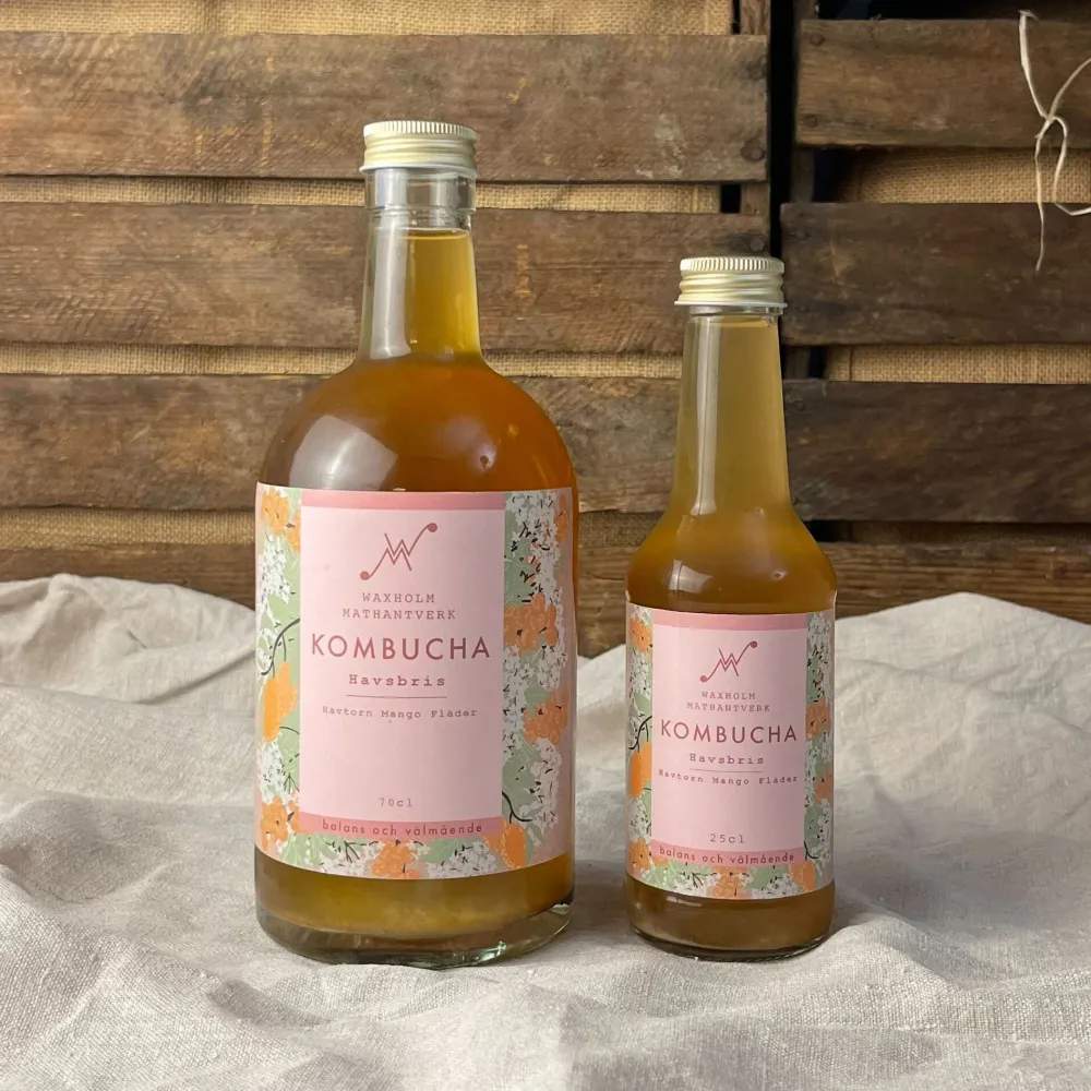 Kombucha Havsbris 3-Year Service Plan
