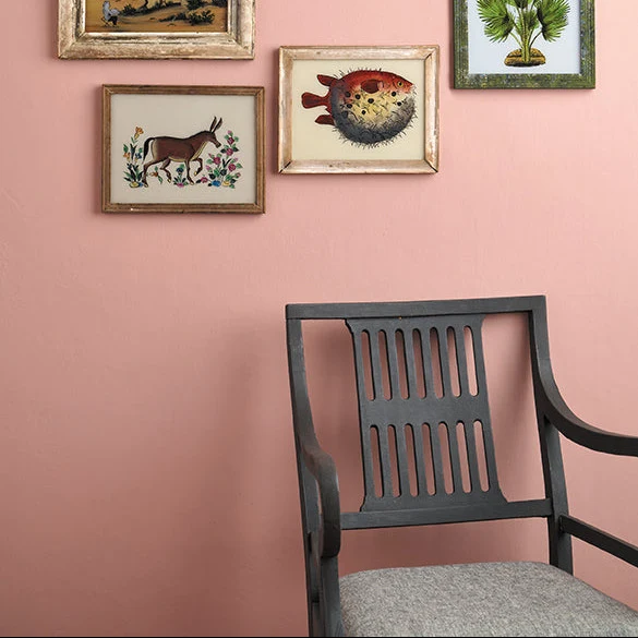 Lasernivå Måla hela hemmet med Chalk Paint