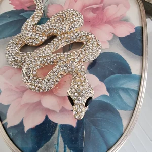 Multi-Function Brosch Snake Clear
