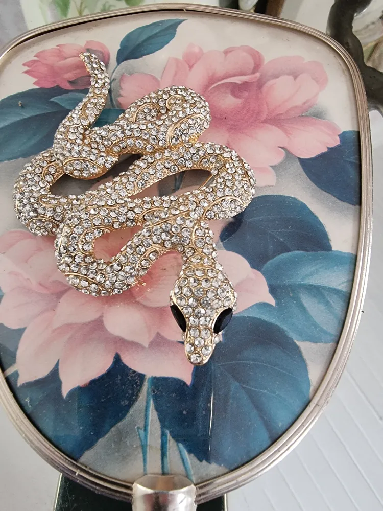 Multi-Function Brosch Snake Clear