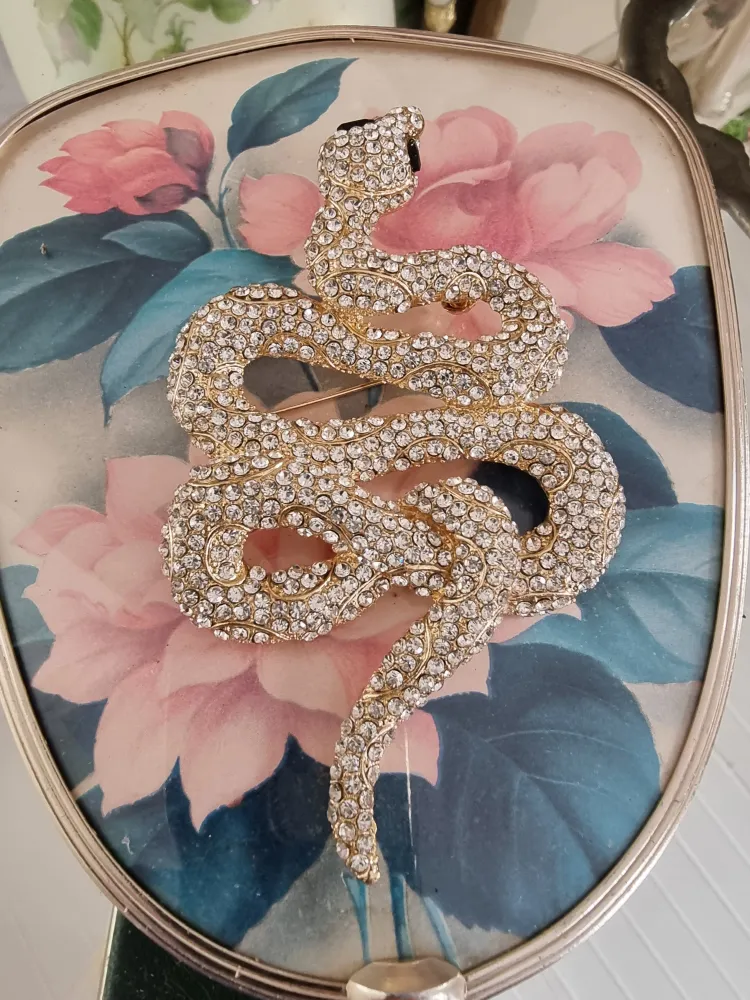 Multi-Function Brosch Snake Clear