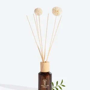 Multi-Function Home Perfume DELLINGR 180