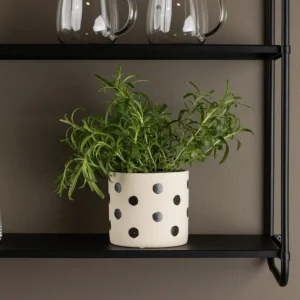 Pott Venture Home Sane DIY Projects