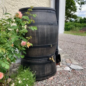 Regnvattentunna 240 liter Brun