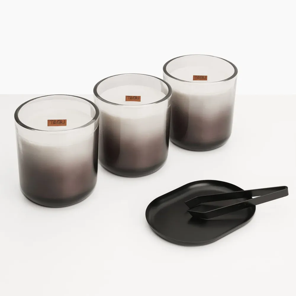 Trådlös Elkamin TAGU Rolf Luminös Eldstad ZenFlame